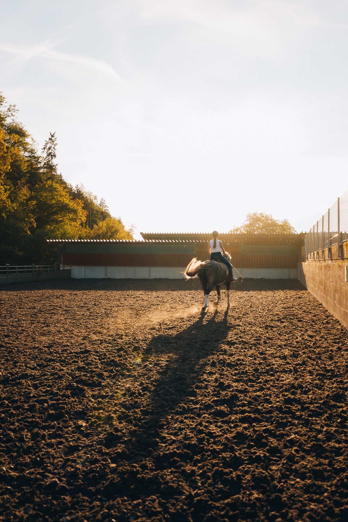 Valérie beim Reittraining im Abendlicht